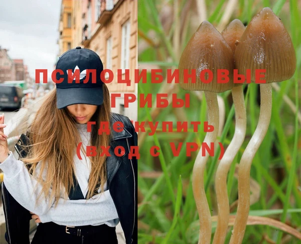 кокс Новодвинск