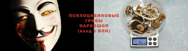 трава Арсеньев